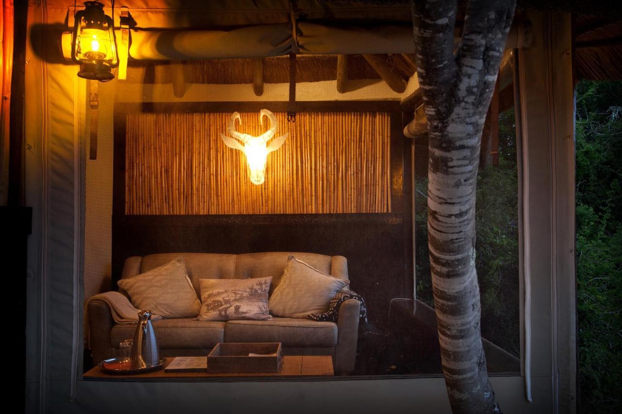 Safari Lodge - Réserve animalière d'Amakhala Extérieur photo