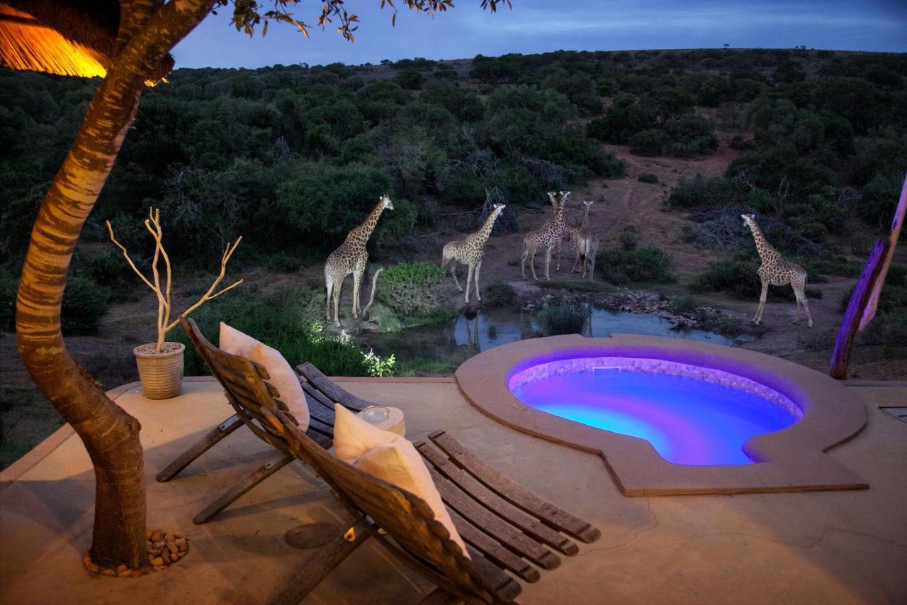 Safari Lodge - Réserve animalière d'Amakhala Extérieur photo