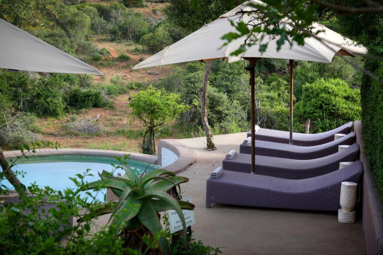Safari Lodge - Réserve animalière d'Amakhala Extérieur photo