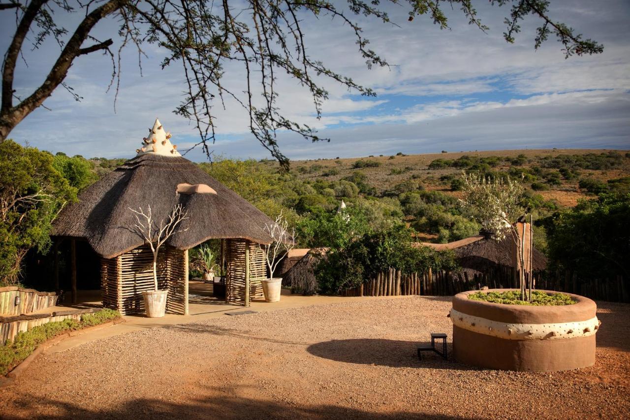 Safari Lodge - Réserve animalière d'Amakhala Extérieur photo