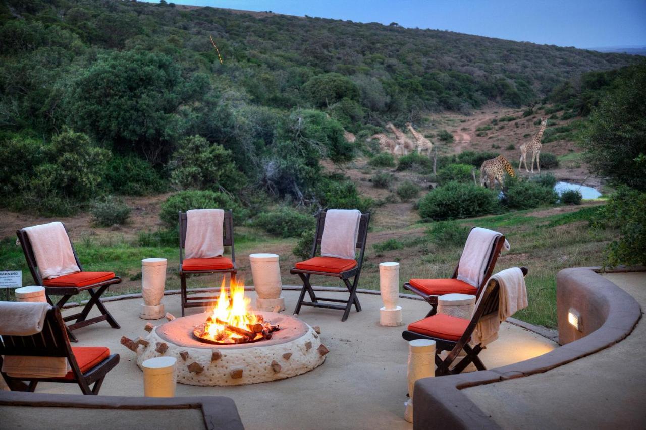 Safari Lodge - Réserve animalière d'Amakhala Extérieur photo