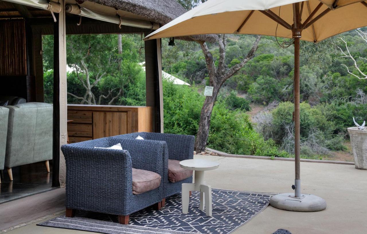 Safari Lodge - Réserve animalière d'Amakhala Extérieur photo