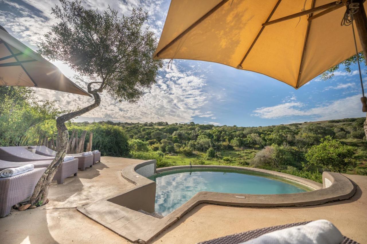 Safari Lodge - Réserve animalière d'Amakhala Extérieur photo