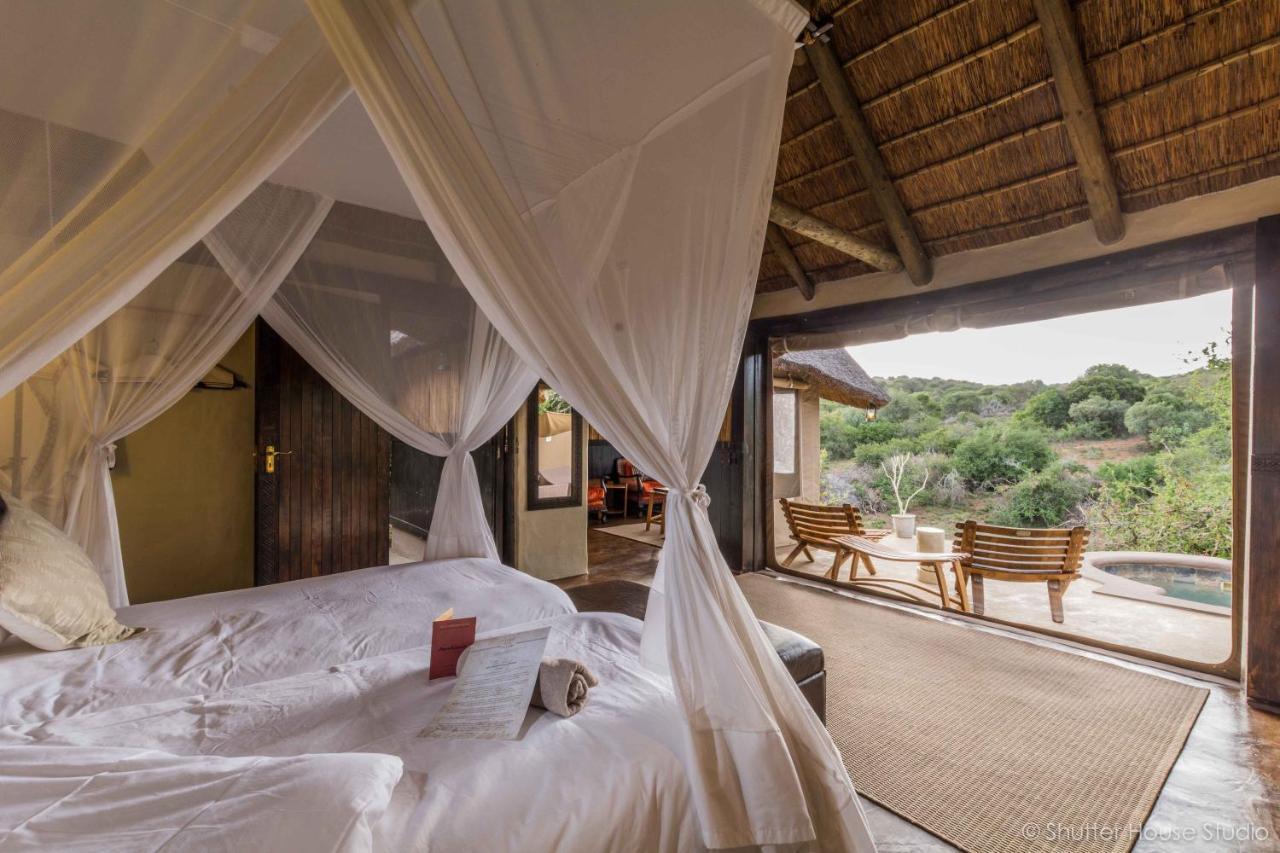 Safari Lodge - Réserve animalière d'Amakhala Extérieur photo