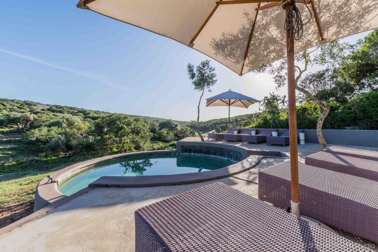 Safari Lodge - Réserve animalière d'Amakhala Extérieur photo